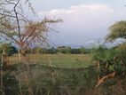 Industrial Land Near Mirsharai Economic Zone