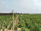 Industrial Land Sale at Mirsharai Economic Zone