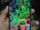 Infinix Hot 10 Play 13 (Used)