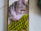 Infinix Note 40 8/256 (Used)