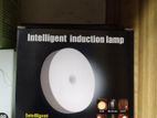 Intelligent induction lamp sensor LED Night Light