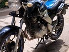 Intraco-125 CC Fresh 2010