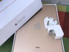 iPad Air 2 64gb Wifi