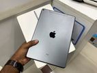 iPad Air (3rd Generation) 64GB Celluler