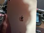 iPad air 4