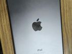 Ipad Mini 2