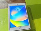 IPad mini 5 (64 gb)