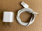 iphone 5w charger