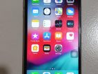 Apple iPhone 6 (Used)