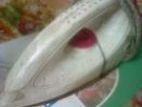 Irone For Sell