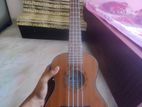 Gitar Sell