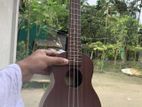ইউকুলেলে ২১