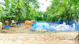 জাবুসা চৌরাস্তা থেকে ১০০ গজ ভিতরে জমি বিক্রি করা