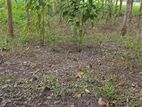 জায়গা বিক্রি করা হবে