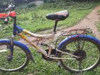 cycle for sell