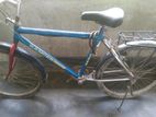 Bicycle for sell