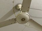 jamuna ceiling fan