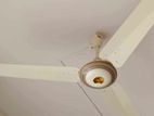 Jamuna ceiling Fan