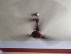Jamuna ceiling fan