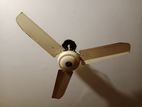 Fan for sell