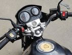 Jamuna Pegasus EVO 150 2023