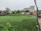 জিমি বিক্রি করা হবে
