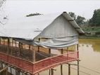 জিও শিট