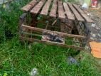 Van for sell
