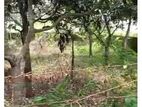 জমি বিক্রি