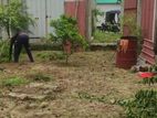 জমি বিক্রি হবে — চমৎকার লোকেশন