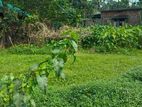 জমি বিক্রি হবে