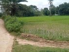 জমি বিক্রি হবে। Land Sale