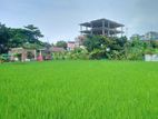 জমি বিক্রি করা হবে