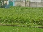 জমি বিক্রি করা হবে