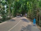 জমি বিক্রি করবো ১৬ শতাংশ