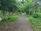 জমি বিক্রি করবো ৩৯০ শতাংশ টংগিপাড়া,গোপালগঞ্জ