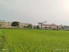 জমি বিক্রি করবো ৮০ শতাংশ ডাসার উপজেলা সংলগ্ন।