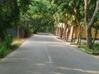 জমি বিক্রি করবো ৯২ শতাংশ মাদারীপুর সদর,