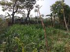 জমি বিক্রি Land Sale