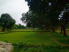 জমি বিক্রয় করা হবে
