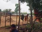 জমি বিক্রয় করা হবে