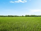 জমি বিক্রয় Land For Sale in Jessore Prime Spot