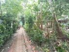 জমি বিক্রয় ২.৫০ শতক