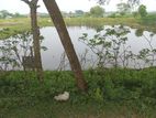 জমি বিক্রয়