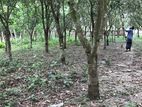 জমি বিক্রয় করা হইবে