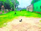 জমি সহ বাড়ি