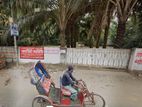 জমির শেয়ার