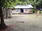 জমিসহ বাড়ি বিক্রি হবে