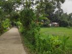 জমিন বিক্রি করা হবে।