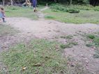Land for sell